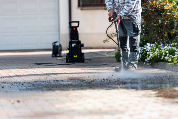 Best Specialty Cleaning in Newbern, TN